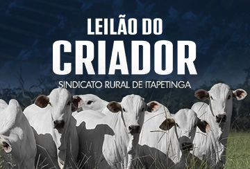 LEILÃO DO CRIADOR - SINDICATO RURAL DE ITAPETINGA